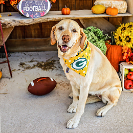 cutest-packers-pet