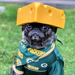 cutest-packers-pet